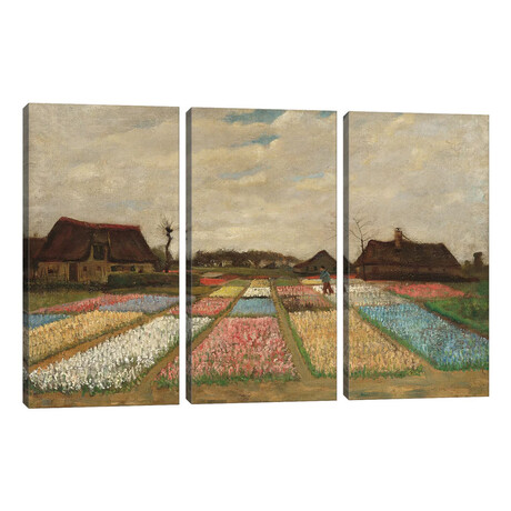 Tulpenfelder (Tulip Fields) by Vincent van Gogh