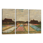 Tulpenfelder (Tulip Fields) by Vincent van Gogh