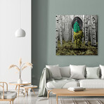 Nahual Jump (30"H x 30"W x 2.0"D)