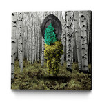 Nahual Jump (30"H x 30"W x 2.0"D)