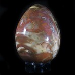 Petrified Wood Egg // X-Large