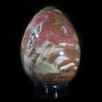 Petrified Wood Egg // X-Large