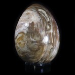 Petrified Wood Egg // X-Large
