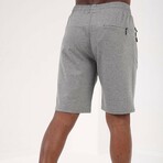Sullivan Shorts // Gray Melange (Small)