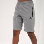 Sullivan Shorts // Gray Melange (Small)