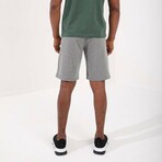 Sullivan Shorts // Gray Melange (Small)