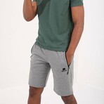 Sullivan Shorts // Gray Melange (Small)