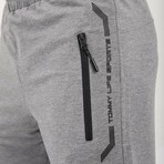 Jason Sport Written Shorts // Gray Melange (Small)