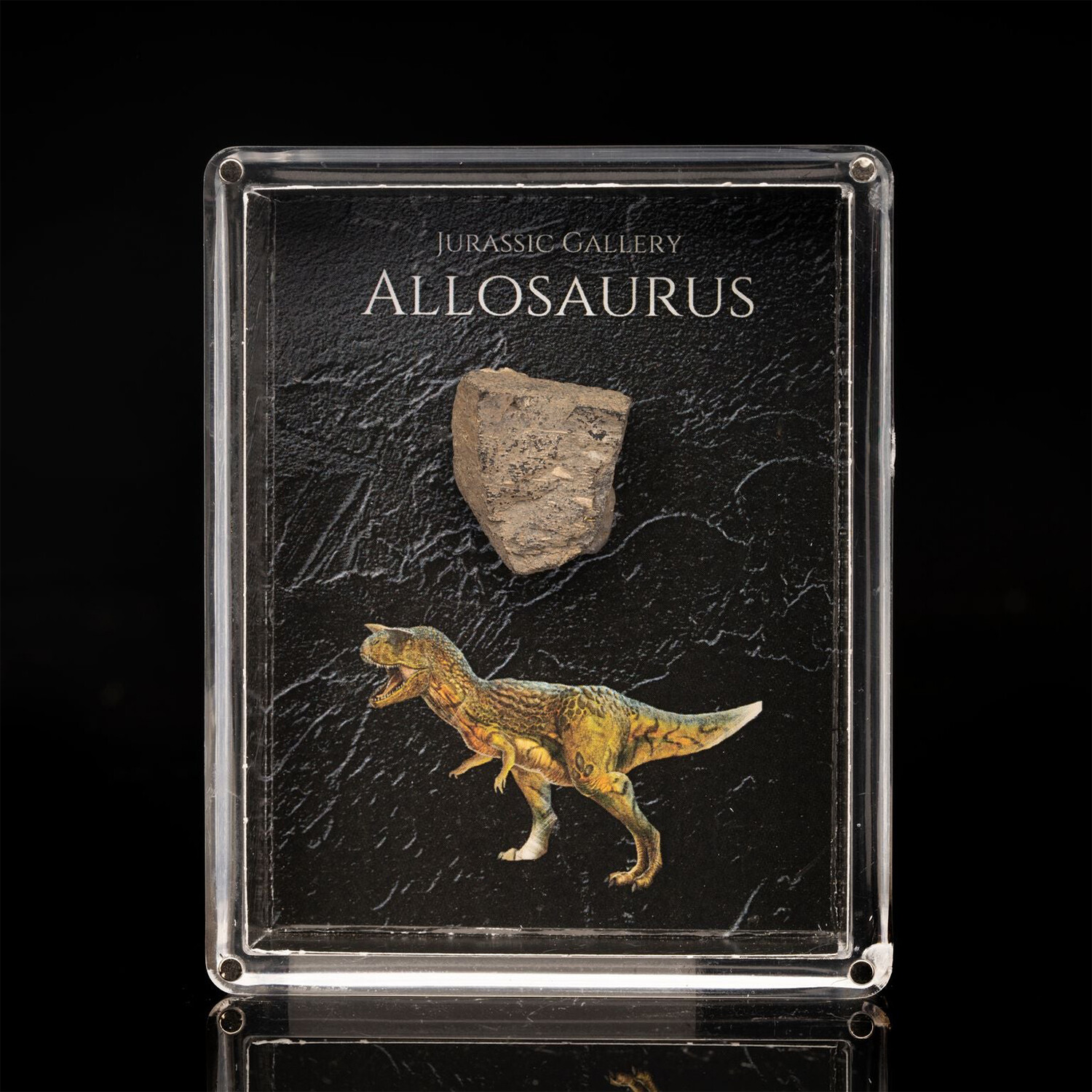 Jurassic Era Boxed Dinosaur Allosaurus Brand New 