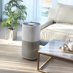 Miro // MHPure13G Air Purifier