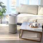 Miro // MHPure13G Air Purifier