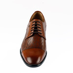 Ralph Classic Shoes // Tobacco (Euro: 45)