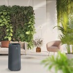 AGH550 // HEPA Filter Air Purifier