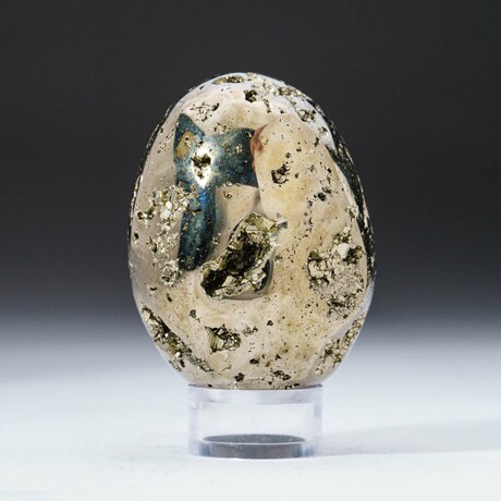 Polished Pyrite Egg + Acrylic Display Stand