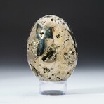 Genuine Polished Pyrite Egg with Acrylic Display Stand