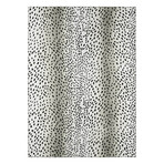 58350089a474786c6899d60b76502131 small