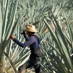 Dos Hombres Espadín Mezcal with Limited Edition Tote Bag // 750 ml