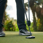 True Pendulum Motion (TPM)