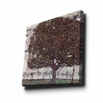 Apple Tree II (17.7"H x 17.7"W 1.1"D)