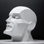 Anatomical Male // Headphone Stand