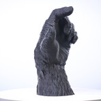 Monkey Hand // Headphone Stand