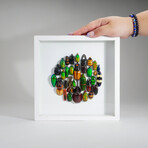 Genuine Beetles // Display Frame