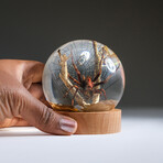 Genuine Spider w/ Web and Fly in Globe with Stand