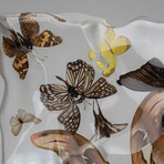15 Genuine Butterflies in Lucite Freeform