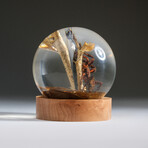 Genuine Spider w/ Web and Fly in Globe with Stand