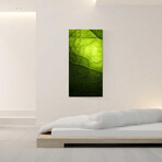Natural Textures // Green Leaf (48"H x 16"W x 0.5"D)