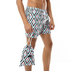 Swim Shorts // Colored Line (2XL)