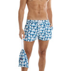 Swim Shorts // Polar Bear (M)