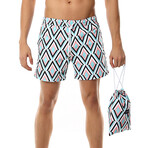 Swim Shorts // Colored Line (L)