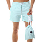 Swim Shorts // Green Stripes (XL)
