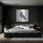 Black & White Bird by Andreas Lie (12"H x 12"W x 0.13"D)