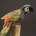 Genuine Polished Hand Carved Bird Parrot