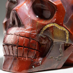 Genuine Polished Mookaite Skull