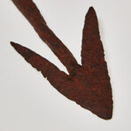 Fantastic Medieval Longbow Arrow-head // 8th-10th Century