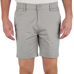 Shorts // Gray (Small (27"-30"))