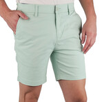 Shorts // Seafoam (Small (27"-30"))