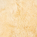 Milan Shearling 2' X 3' Sheepskin Area Rug // Cream