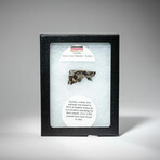 Sericho Meteorite In Display Box V2