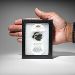 Sikhote-Alin Meteorite In Display Box V2