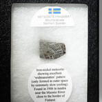 Muonionalusta Meteorite In Display Box V2