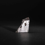 Muonionalusta Meteorite Slice // 31g