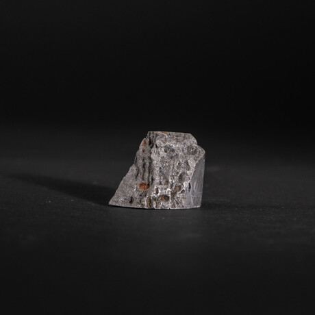 Muonionalusta Meteorite Slice with Display Box // 28.4g