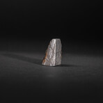 Muonionalusta Meteorite Slice with Display Box // 18.2g