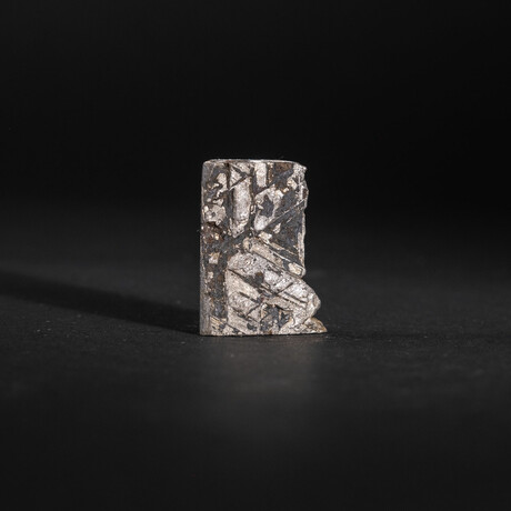 Muonionalusta Meteorite Slice with Display Box // 32.9g