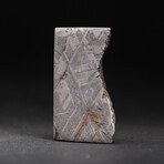 Muonionalusta Meteorite Slice with Display Box // 15.4g