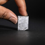 Muonionalusta Meteorite Slice with Display Box // 20.9g